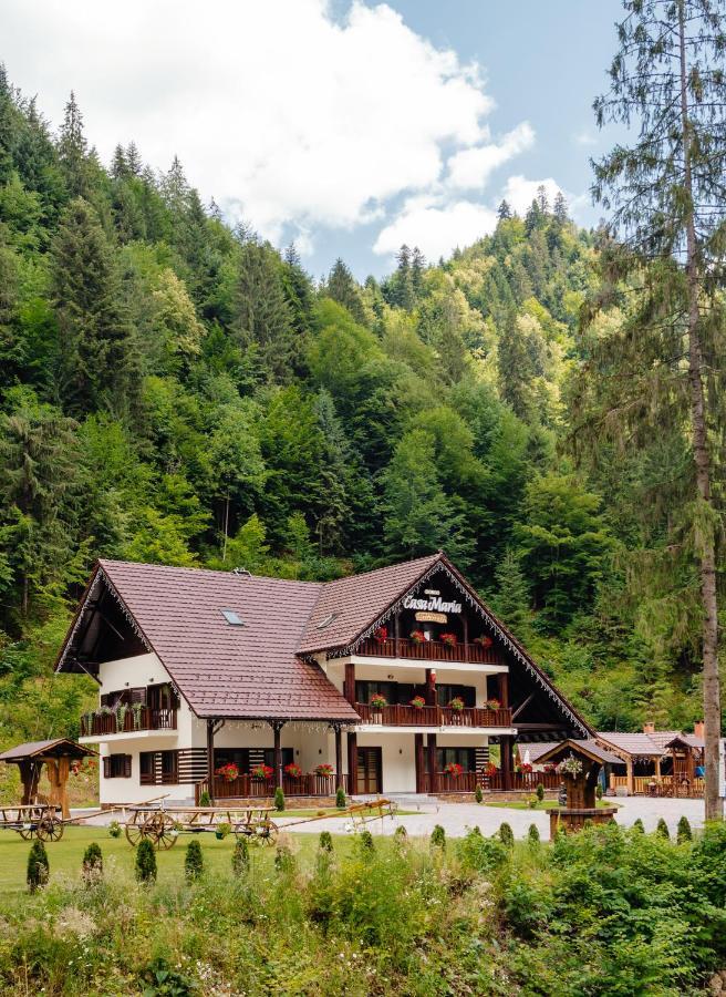 Pensiunea Agroturistica Casa Maria Rodna Екстериор снимка